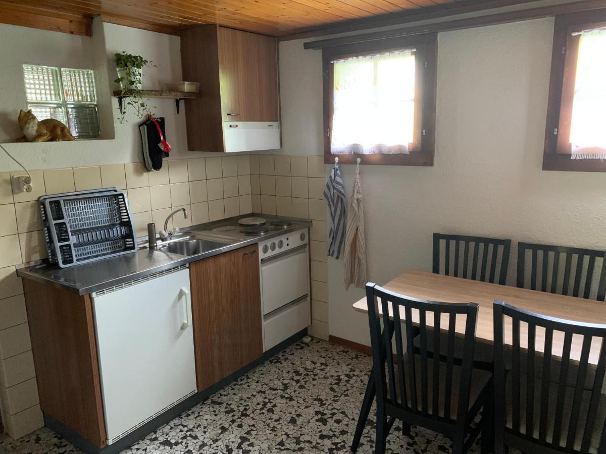 Naturnahe Wohnung Fur 1 - 4 Personen Brienz  Bagian luar foto